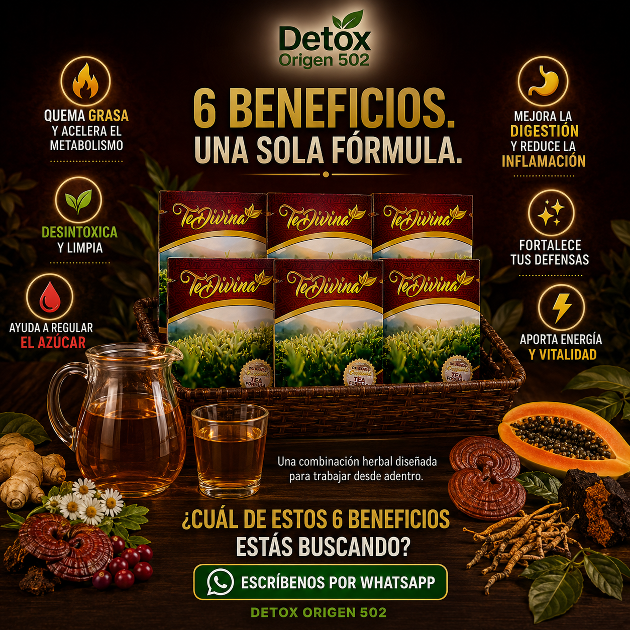 Kit Tratamiento Completo 6 semanas — 6 beneficios, una sola fórmula